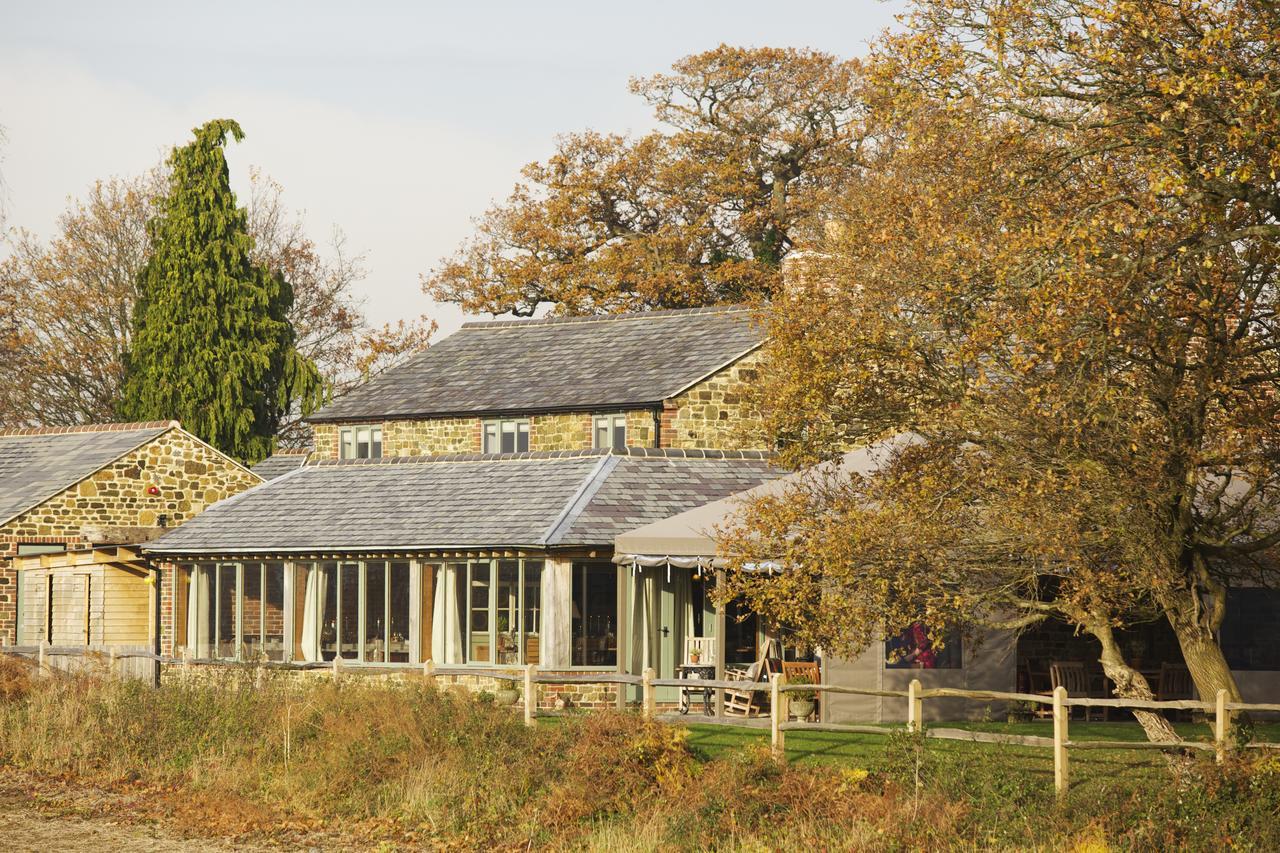 Bed and Breakfast The Welldiggers Arms à Petworth Extérieur photo